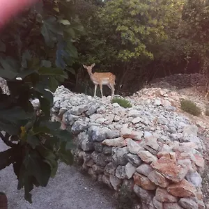 Legac Starigrad (Kvarner)